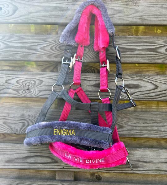 Set licol teddy + longe