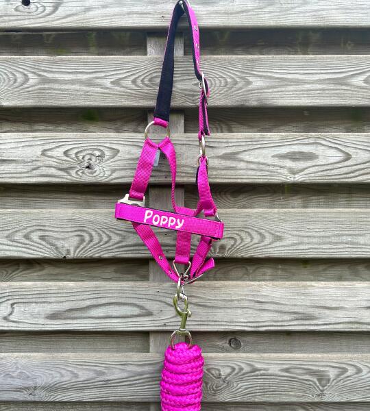 Halsterset DIME met naam