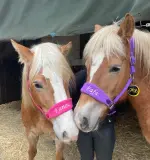 Licol personnalisé avec le nom