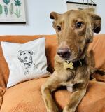 Canvas Kussensloop met Lijntekening van Jouw Foto