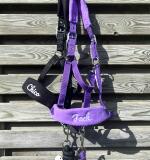 ENSEMBLE Licol Bellwood avec Broderie Nom & Cordelette Assortie