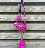 Halsterset DIME met naam