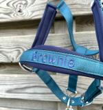 Set Licol néoprène avec gravure et/ou broderie
