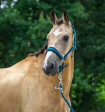 Halster SET met Gegraveerd Naamplaatje