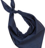 Geborduurde Bandana