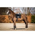 Tapis de selle dressage Showtime Crown