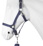 Halsterset DIME met naam