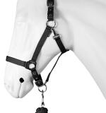 Halsterset DIME met naam